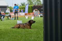 IMG_7143