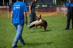 IMG_7458