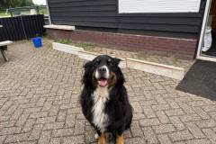 Afbeelding-van-WhatsApp-op-2025-07-26-om-14.59.19_0a4fcea5