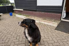 Afbeelding-van-WhatsApp-op-2025-07-26-om-14.59.20_883db694