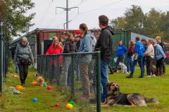 GHSV_EXAMEN_12-09-26-095105