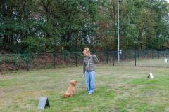 GHSV_EXAMEN_12-09-26-111721