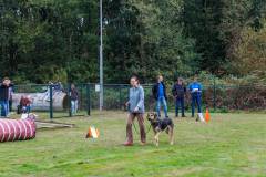 GHSV_EXAMEN_12-09-26-111943