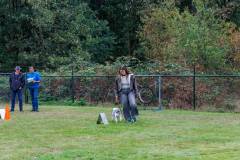 GHSV_EXAMEN_12-09-26-112315