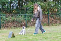 GHSV_EXAMEN_12-09-26-112352