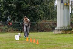 GHSV_EXAMEN_12-09-26-112509