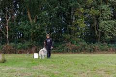 GHSV_EXAMEN_12-09-26-114219