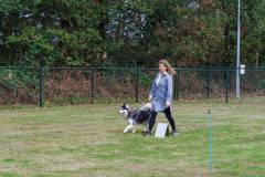 GHSV_EXAMEN_12-09-26-114600