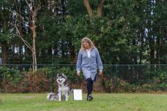 GHSV_EXAMEN_12-09-26-114631