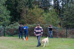 GHSV_EXAMEN_12-09-26-114828