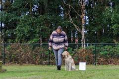 GHSV_EXAMEN_12-09-26-114944