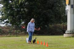 GHSV_EXAMEN_12-09-26-115359