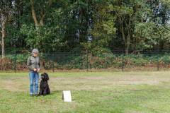GHSV_EXAMEN_12-09-26-121139