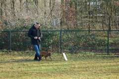 GHSV_Examen_26_01_17_8336