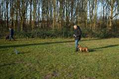 GHSV_Examen_26_01_17_8338