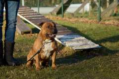 GHSV_Examen_26_01_17_8353