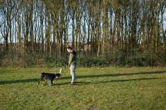 GHSV_Examen_26_01_17_8389