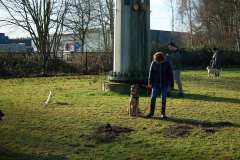 GHSV_Examen_26_01_17_8392