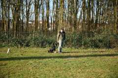 GHSV_Examen_26_01_17_8401