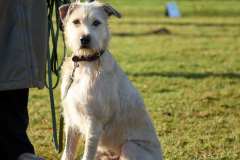 GHSV_Examen_26_01_17_8407