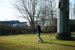 GHSV_Examen_26_01_17_8412