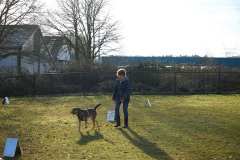 GHSV_Examen_26_01_17_8442