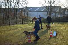 GHSV_Examen_26_01_17_8444