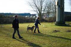 GHSV_Examen_26_01_17_8447