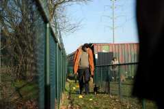 GHSV_Examen_26_01_17_8471