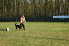 GHSV_Examen_26_01_17_8513