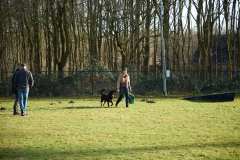 GHSV_Examen_26_01_17_8527