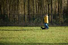 GHSV_Examen_26_01_17_8546