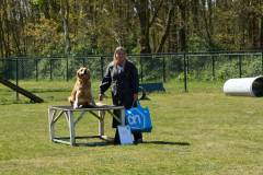 GHSV_EXAMEN_25_4_26_54