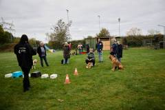 IMG_7911_18-10-25