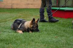 IMG_7912_18-10-25