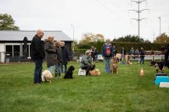 IMG_7914_18-10-25