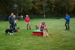 IMG_7916_18-10-25
