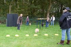 IMG_7918_18-10-25