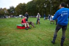 IMG_7926_18-10-25