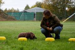 IMG_7933_18-10-25