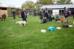 IMG_7936_18-10-25