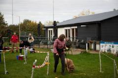 IMG_7955_18-10-25