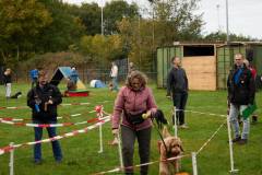 IMG_7959_18-10-25