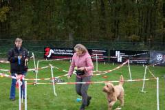 IMG_7963_18-10-25