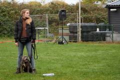 IMG_7985_18-10-25