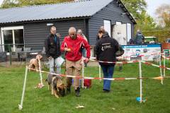 IMG_7998_18-10-25