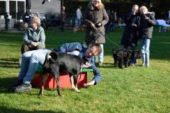 IMG_8022_18-10-25