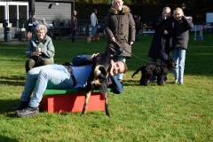 IMG_8023_18-10-25