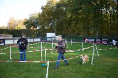 IMG_8031_18-10-25
