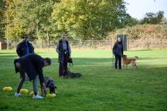 IMG_8033_18-10-25